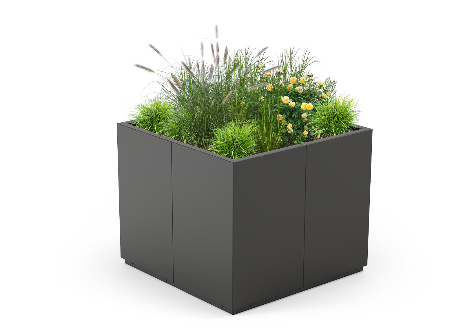 Quadro 06.176.XL saksija od karbonskog čelika